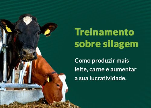 Como produzir mais leite, carne e aumentar a sua lucratividade