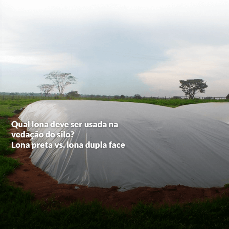 Qual lona usar na vedação do silo: Lona preta ou dupla face?