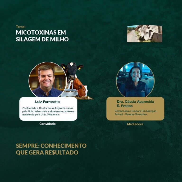 SEMPRE: Conhecimento que gera re$ultado - Micotoxinas em silagem de milho