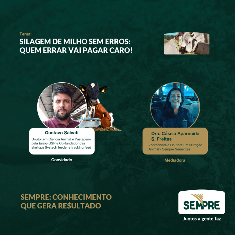 SEMPRE: Conhecimento que gera re$ultado - Silagem de milho sem erros: Quem errar vai pagar caro!