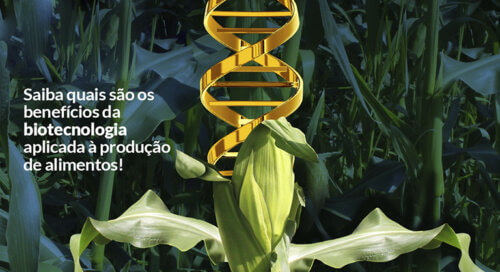 biotecnologia-producao-alimentos