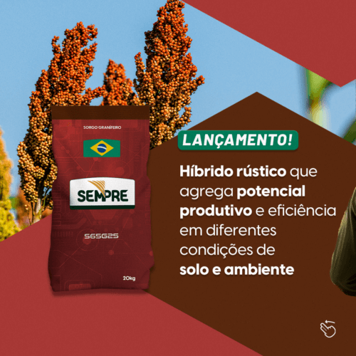 Novo produto no portfólio Sempre: Sorgo S65G25!