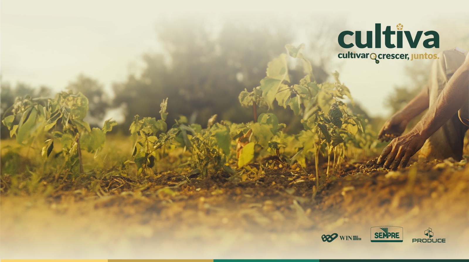 Cultiva